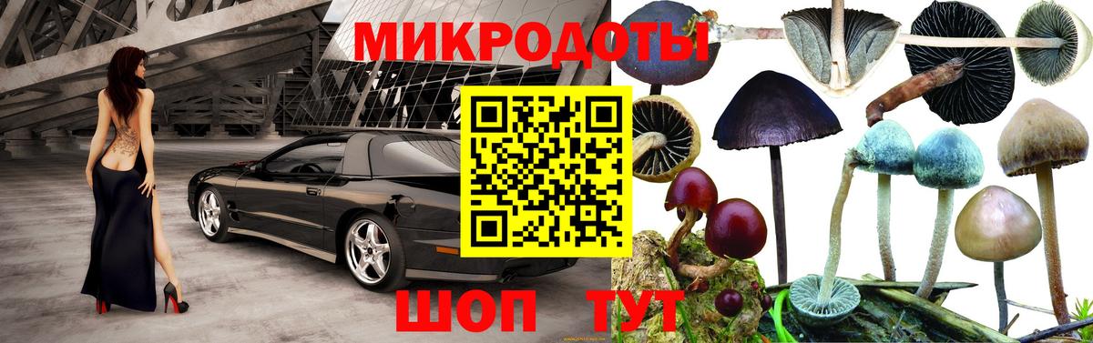Галлюциногенные грибы GOLDEN TEACHER Выкса